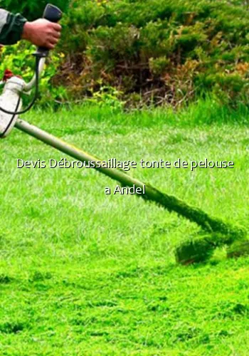 Devis Débroussaillage tonte de pelouse a Andel