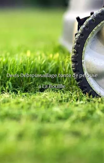 Devis Débroussaillage tonte de pelouse a La Bouillie