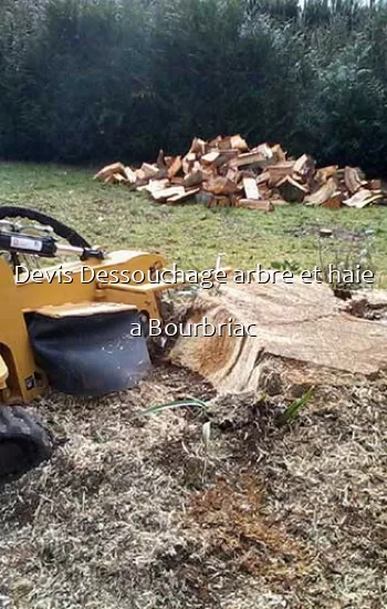 Devis Dessouchage arbre et haie a Bourbriac