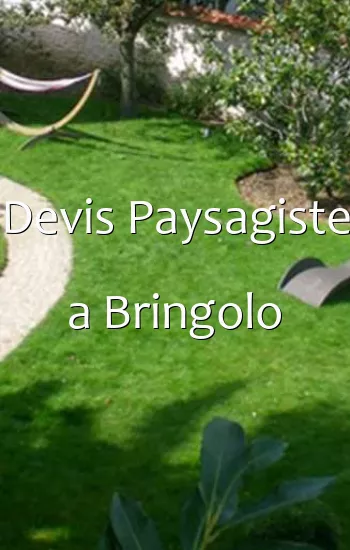 Devis Paysagiste a Bringolo