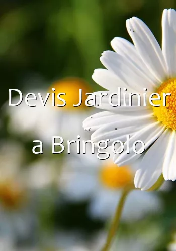 Devis Jardinier a Bringolo