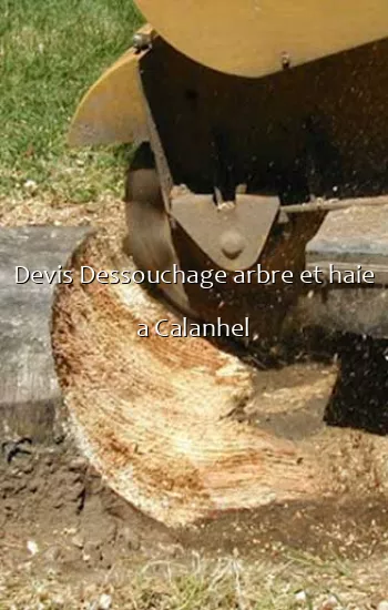 Devis Dessouchage arbre et haie a Calanhel