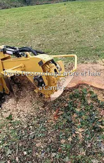 Devis Dessouchage arbre et haie a Camlez