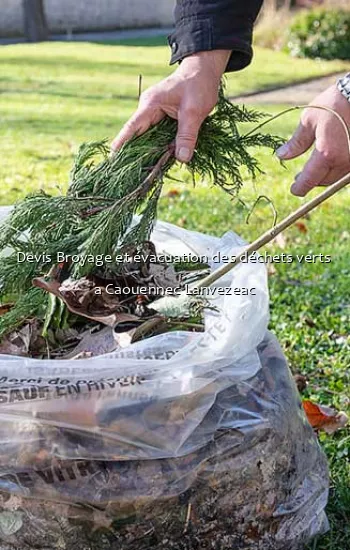 Devis Broyage et évacuation des déchets verts  a Caouennec Lanvezeac