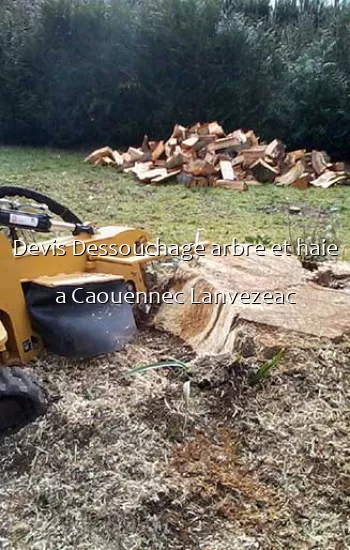 Devis Dessouchage arbre et haie a Caouennec Lanvezeac