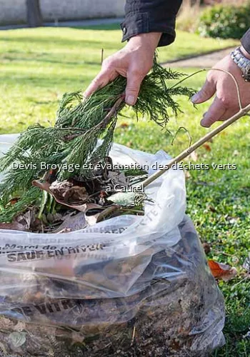 Devis Broyage et évacuation des déchets verts  a Caurel