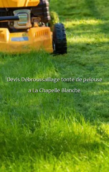 Devis Débroussaillage tonte de pelouse a La Chapelle Blanche