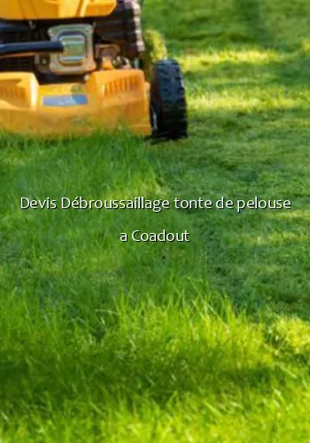 Devis Débroussaillage tonte de pelouse a Coadout