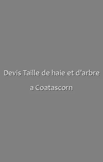 Devis Taille de haie et d'arbre a Coatascorn