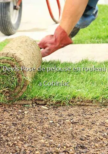 Devis Pose de pelouse en rouleau a Cohiniac