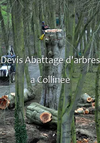 Devis Abattage d'arbres a Collinee
