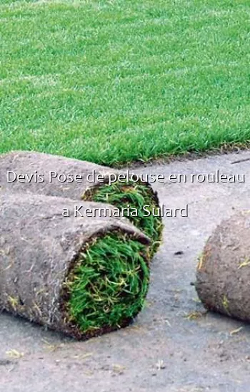 Devis Pose de pelouse en rouleau a Kermaria Sulard