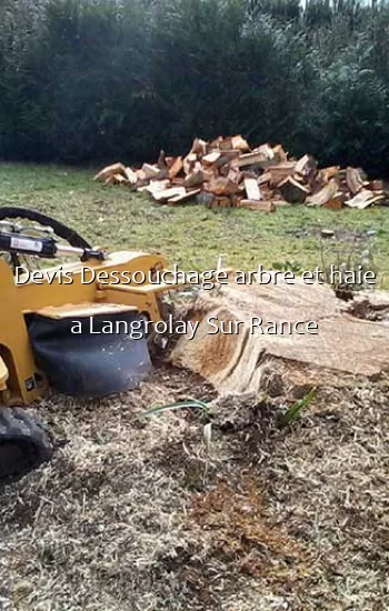 Devis Dessouchage arbre et haie a Langrolay Sur Rance