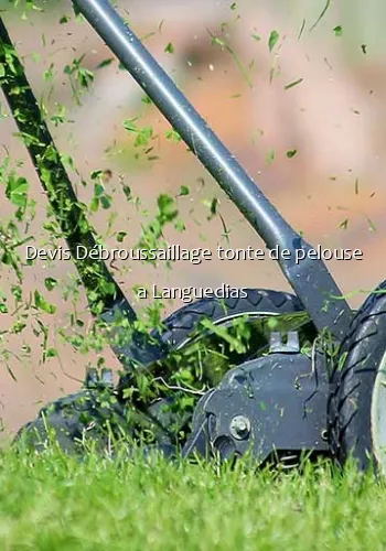 Devis Débroussaillage tonte de pelouse a Languedias