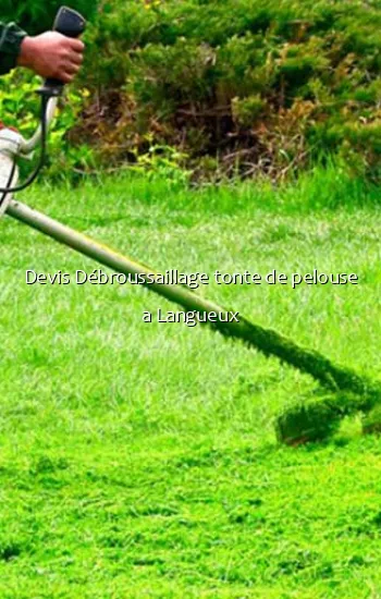 Devis Débroussaillage tonte de pelouse a Langueux