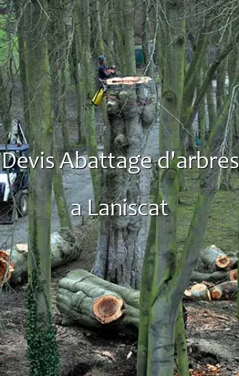 Devis Abattage d'arbres a Laniscat
