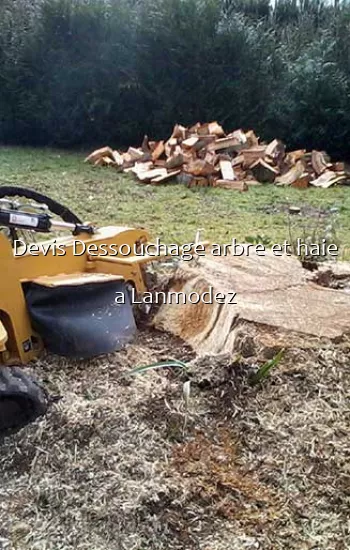 Devis Dessouchage arbre et haie a Lanmodez