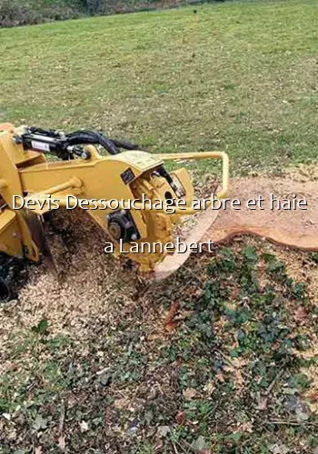 Devis Dessouchage arbre et haie a Lannebert