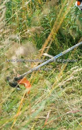 Devis Débroussaillage tonte de pelouse a Lannebert
