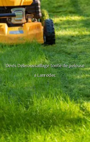Devis Débroussaillage tonte de pelouse a Lanrodec