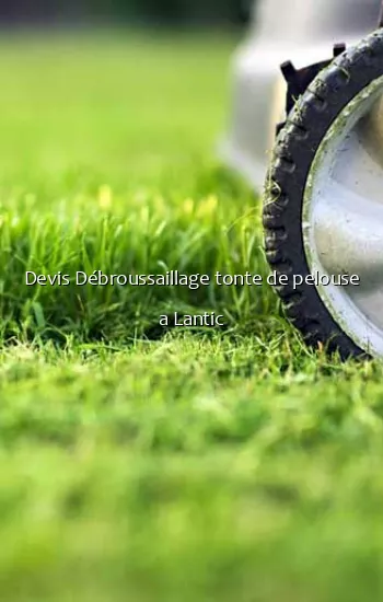 Devis Débroussaillage tonte de pelouse a Lantic