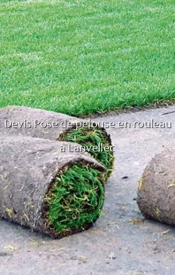 Devis Pose de pelouse en rouleau a Lanvellec