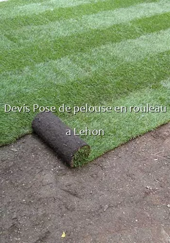 Devis Pose de pelouse en rouleau a Lehon