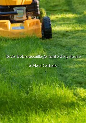 Devis Débroussaillage tonte de pelouse a Mael Carhaix