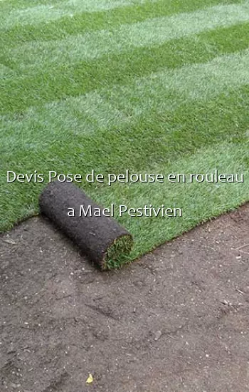 Devis Pose de pelouse en rouleau a Mael Pestivien