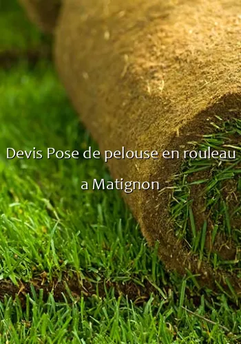 Devis Pose de pelouse en rouleau a Matignon