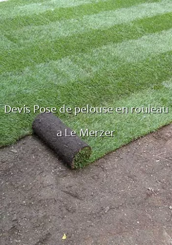 Devis Pose de pelouse en rouleau a Le Merzer