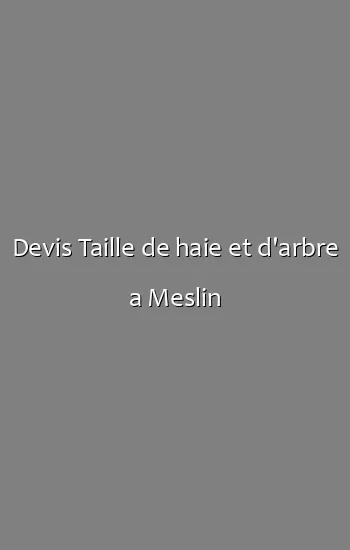 Devis Taille de haie et d'arbre a Meslin