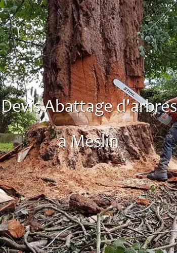 Devis Abattage d'arbres a Meslin