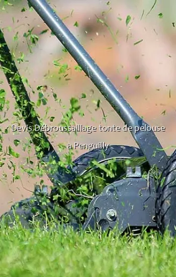 Devis Débroussaillage tonte de pelouse a Penguilly
