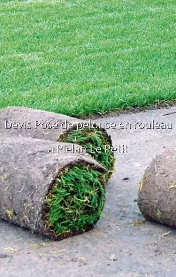 Devis Pose de pelouse en rouleau a Plelan Le Petit