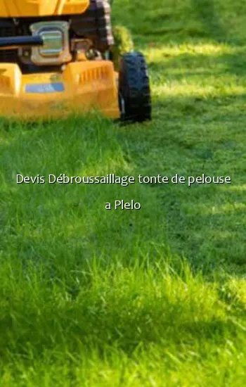 Devis Débroussaillage tonte de pelouse a Plelo