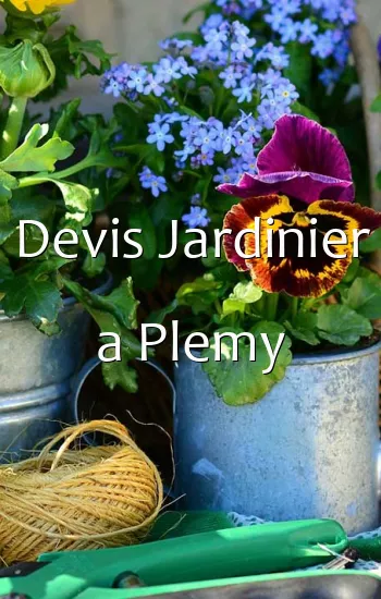 Devis Jardinier a Plemy