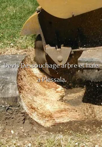 Devis Dessouchage arbre et haie a Plessala