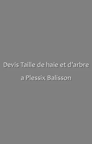Devis Taille de haie et d'arbre a Plessix Balisson
