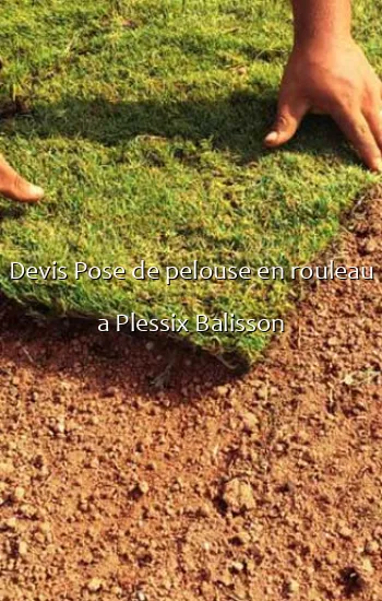 Devis Pose de pelouse en rouleau a Plessix Balisson