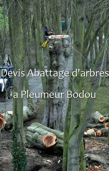 Devis Abattage d'arbres a Pleumeur Bodou