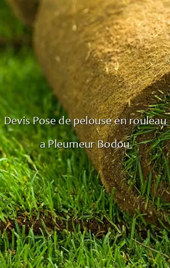 Devis Pose de pelouse en rouleau a Pleumeur Bodou