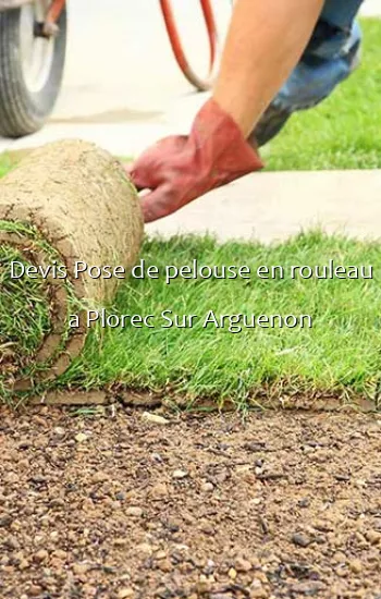 Devis Pose de pelouse en rouleau a Plorec Sur Arguenon
