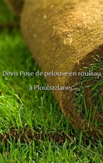 Devis Pose de pelouse en rouleau a Ploubazlanec