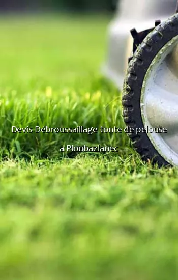 Devis Débroussaillage tonte de pelouse a Ploubazlanec