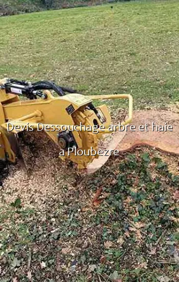 Devis Dessouchage arbre et haie a Ploubezre
