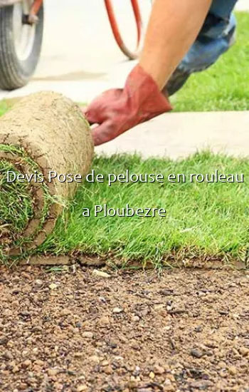 Devis Pose de pelouse en rouleau a Ploubezre