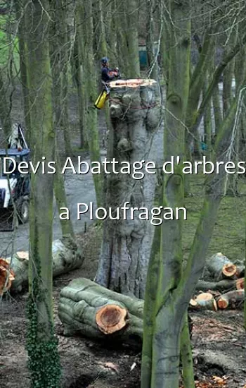 Devis Abattage d'arbres a Ploufragan