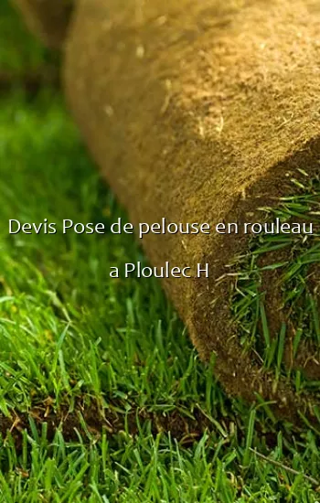 Devis Pose de pelouse en rouleau a Ploulec H