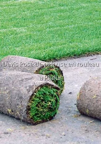 Devis Pose de pelouse en rouleau a Plufur